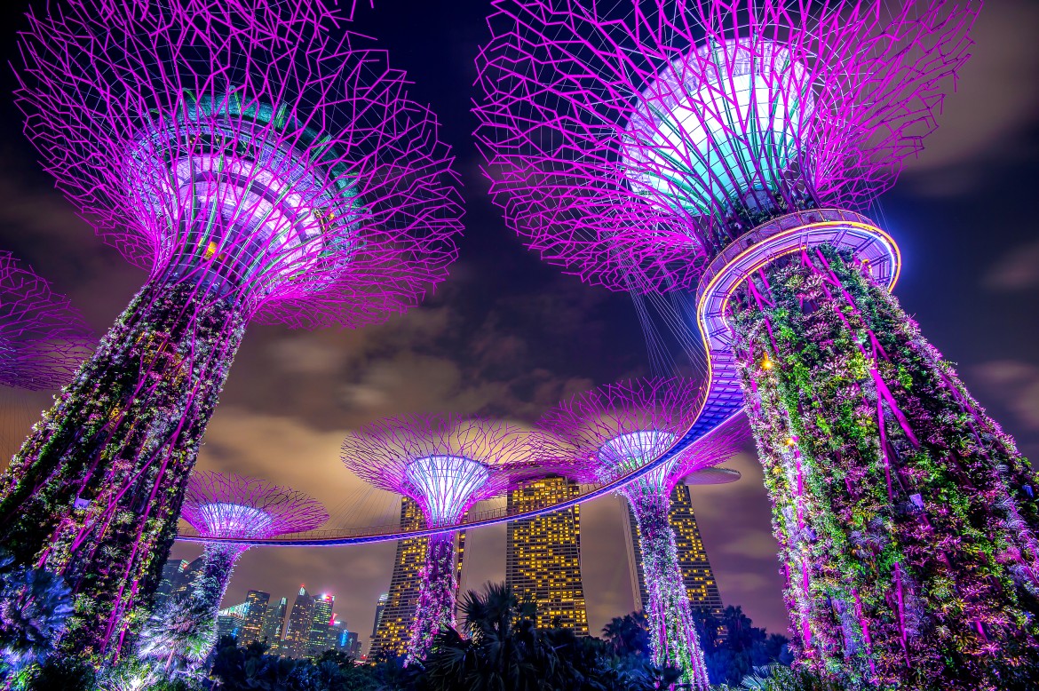 Gardens by the Bay Supertrees illuminated at night with Marina Bay Sands in the background